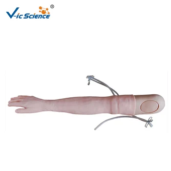 Medicinske Napreden Multi-Funkcijski IV Usposabljanje Roko Roko Model